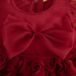 Váy dự tiệc hoa nổi xinh xắn Tiny  Kids